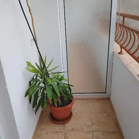 Pensión Pepina 3*