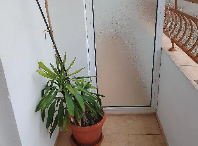 Guest house Pepina 3*