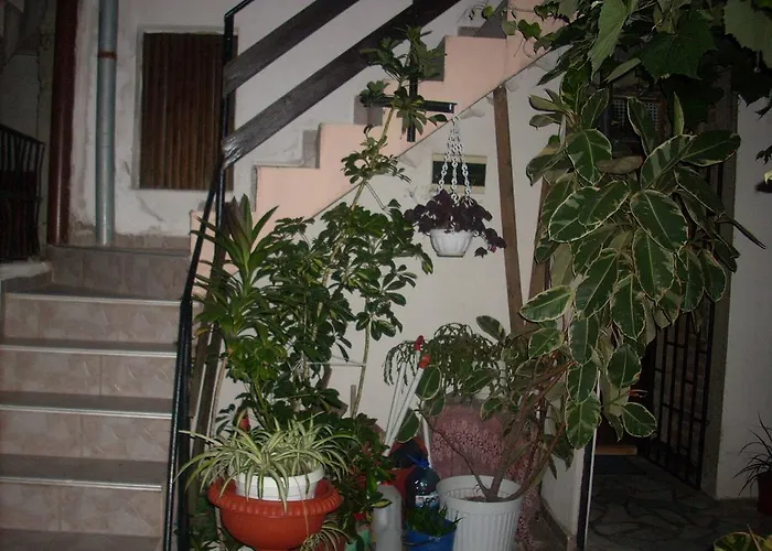 Guest house Pepina 3*